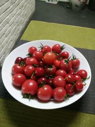 -李轩纹身LEE TATTOO