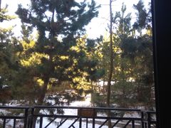 景点-汤泊温泉度假村