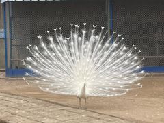 -森林公园(尖草坪区)