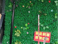 -左撇子私房面