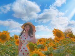 -汉长安城未央宫国家考古遗址公园