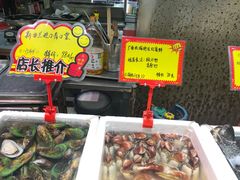 红膏蚌-蚝专家(北滘店)