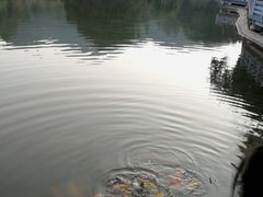 -广州市帽峰山景区