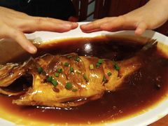 -鸢飞潍坊菜馆(鸢飞大酒店)