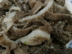 -老爆肚满五香烧牛羊肉