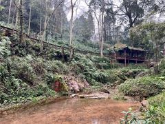 -青城山