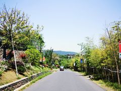 -茅山东方盐湖城景区