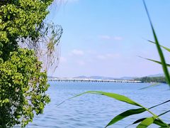 -长广溪湿地公园