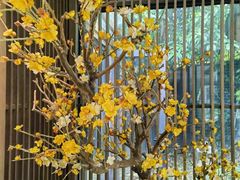 -花锦堂·隐庐