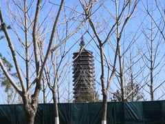 -西海子公园