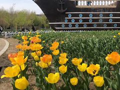 -长春公园(普阳街道)