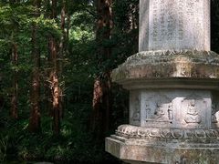 -虎跑公园