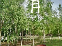 -长春公园(普阳街道)