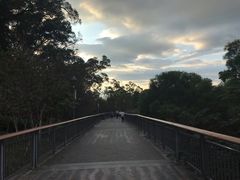-金鸡山公园