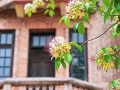 -赤坎·广东华侨国际旅游度假区