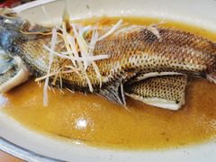 -应天大明王朝·南京菜创始店(中山陵店)