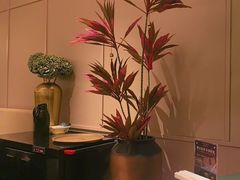 -老吉堂上海本帮菜(望京万象汇店)