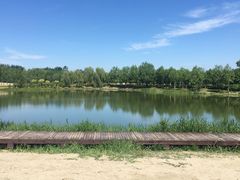 -东郊湿地公园