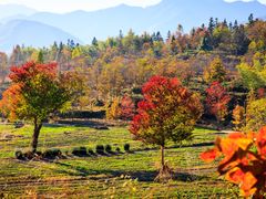 -塔川景区