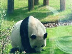 -无锡动物园·太湖欢乐园