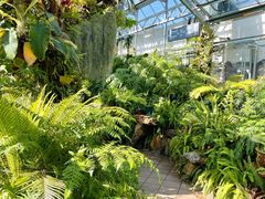 -国家植物园南园