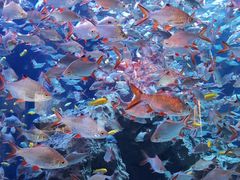 -成都浩海立方海洋公园