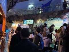 -烟台海昌鲸鲨海洋公园