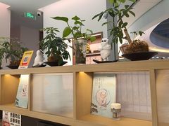 -长风拨筋养身(金虹桥店)