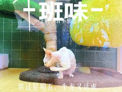 -首开·龙湖成都西宸天街