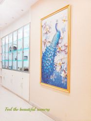 -北京楚诺医疗美容