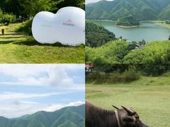 -阿露佳·舌尖上的安吉菜