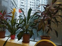 大堂-荔枝楼酒家(员村东璟店)