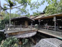 -海南槟榔谷黎苗文化旅游区