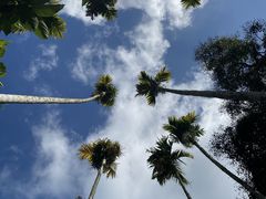 -海南槟榔谷黎苗文化旅游区