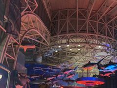 -烟台海昌鲸鲨海洋公园