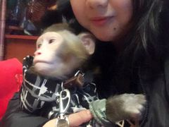 -盤古Spa泰式古法抓龙筋(鲁迅路店)