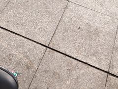 -索拉古贝(义乌北苑店)