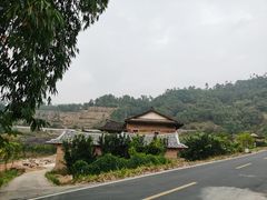 -福建土楼（华安）旅游区•大地土楼群