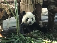 -泉州海丝野生动物世界