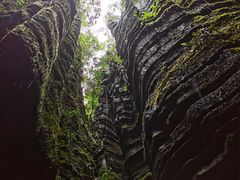 -梭布垭石林景区