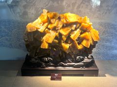 -甘肃地质博物馆