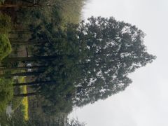 -山王坪喀斯特国家生态公园