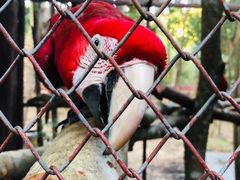 -清迈夜间动物园