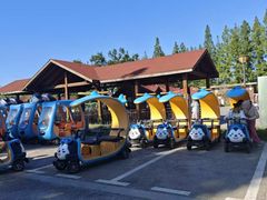 -黄海国家森林公园