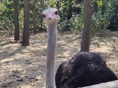 -大连森林动物园