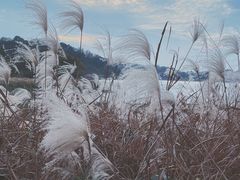 -东钱湖旅游度假区