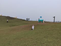 -大姆山草场