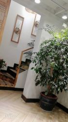 -渼树MSUTREE连锁沙龙