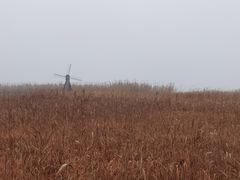 -宁波杭州湾国家湿地公园