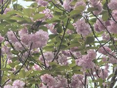 -上海怡沁园度假酒店